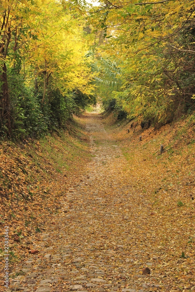 strada antica strada antica