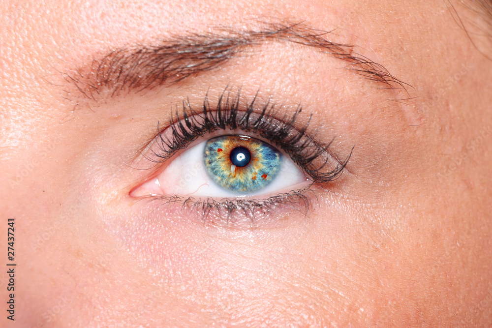 Obraz premium Beautiful woman eyes