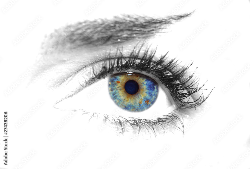 Beautiful Eye of Woman Beautiful Eye of Woman