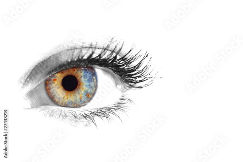 Beautiful Eye of Woman