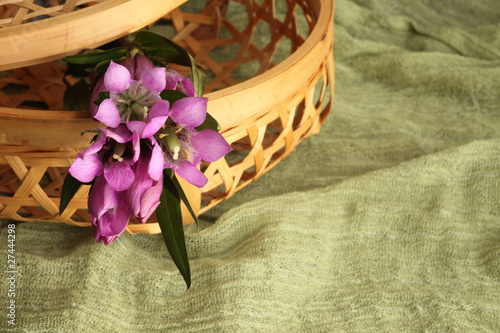 basket of gentian
