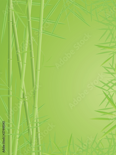 Fototapeta Naklejka Na Ścianę i Meble -  Vector bamboo background