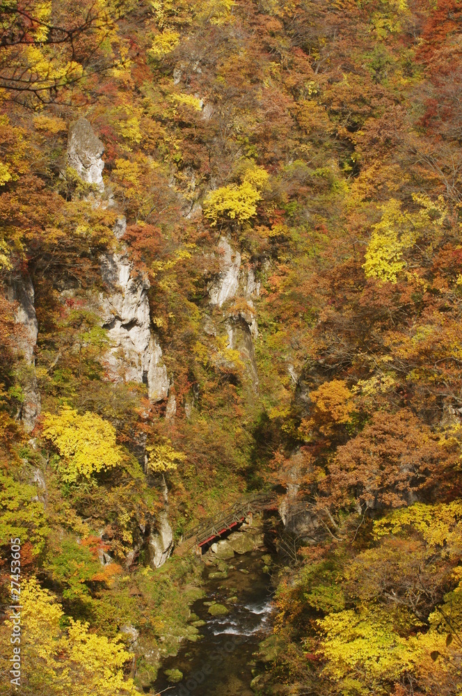 秋の鳴子峡