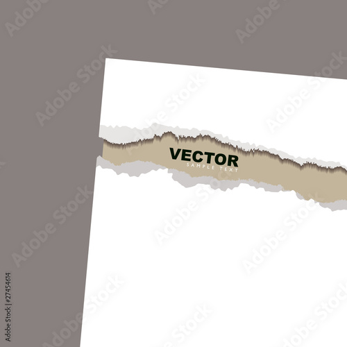 torn paper reveal rustic