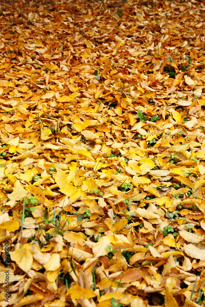 Autunno Autunno