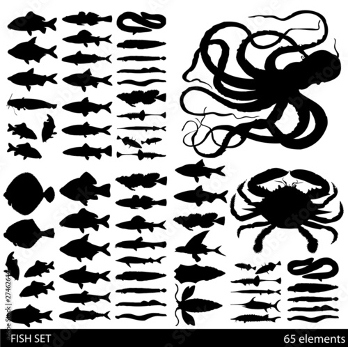 Fish set vector background photo