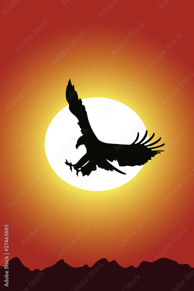 Obraz premium Eagle and sunset