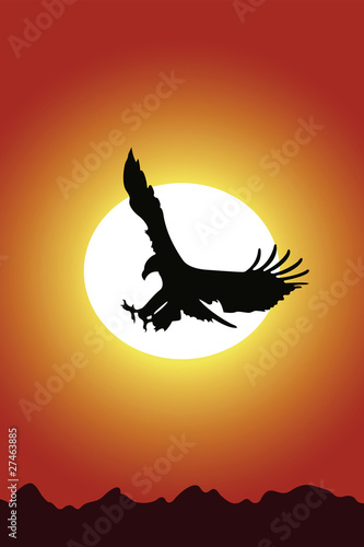Eagle and sunset