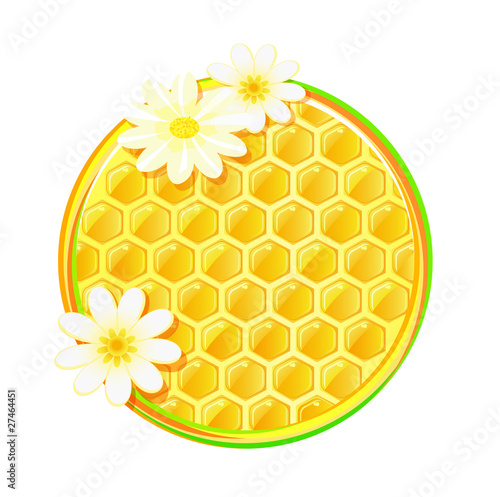honeycomb in circle with camomile flower