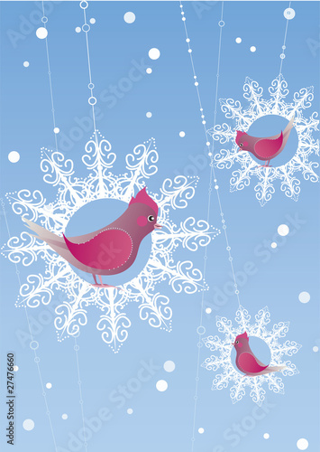 Winter birds