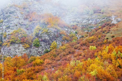 Autumn colors © Rafa Irusta