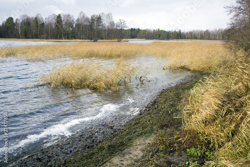 early autumn lakeshore