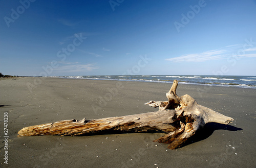 spiaggia di boccasette photo