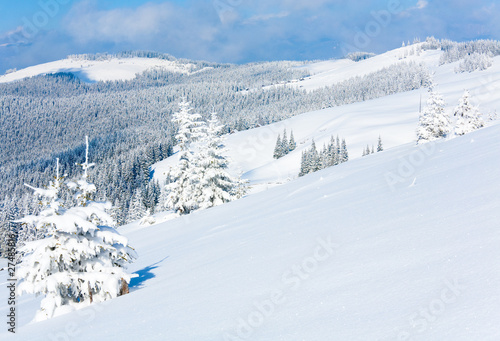 Winter mountain view © wildman