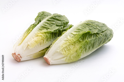 Romanasalat / Blattsalat