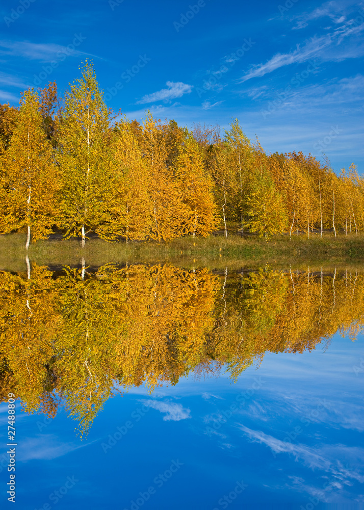 Fototapeta premium Nice autumn scene