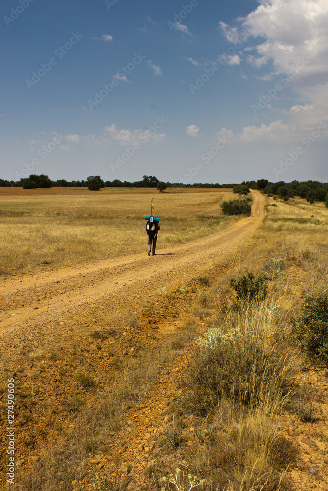 Wanderer Wanderer