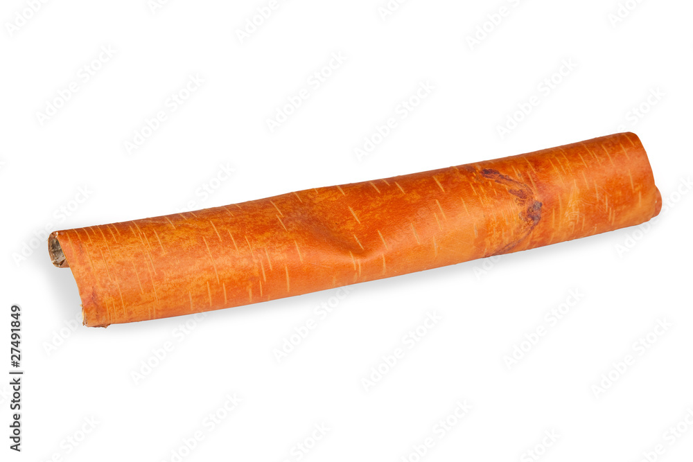 Roll of birch bark Roll of birch bark