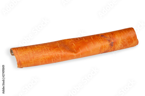 фотографія Roll of birch bark