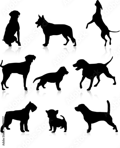 Nine dog illustration
