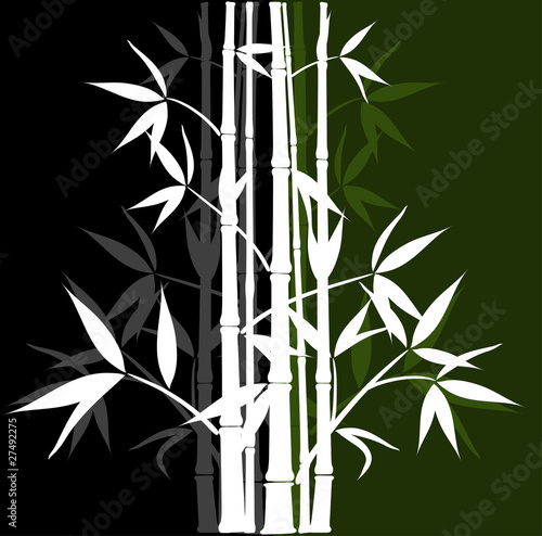 Bamboo background  vector