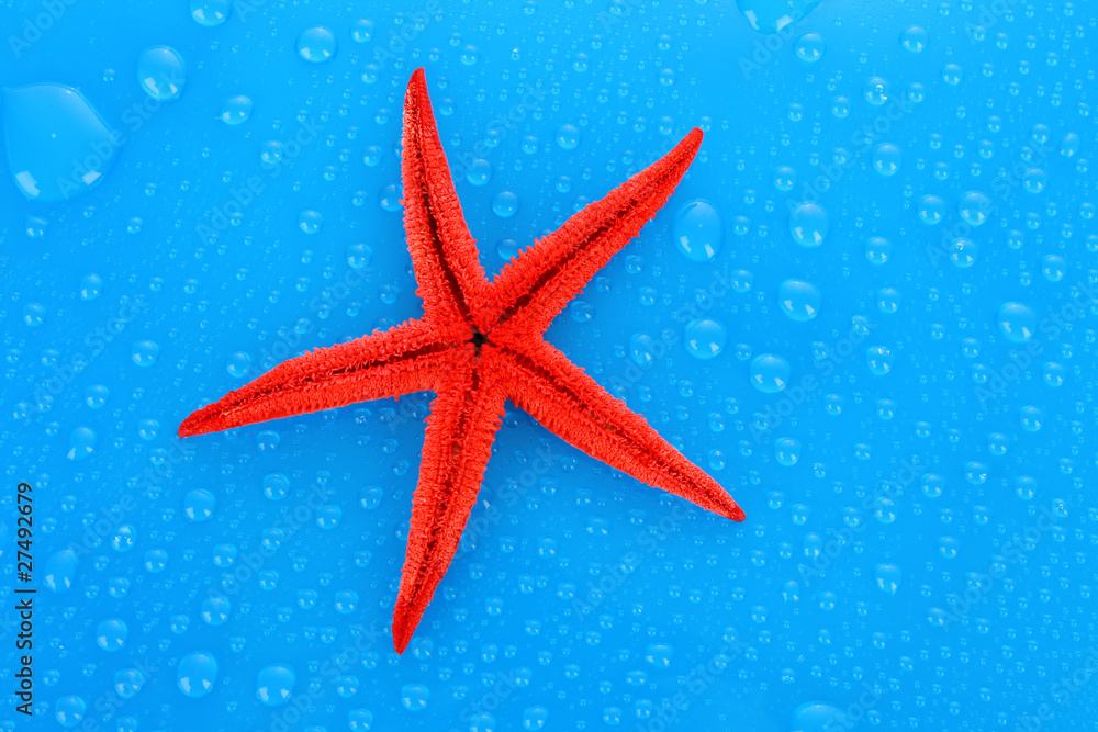 Starfish on blue background with water drops Starfish on blue background with water drops