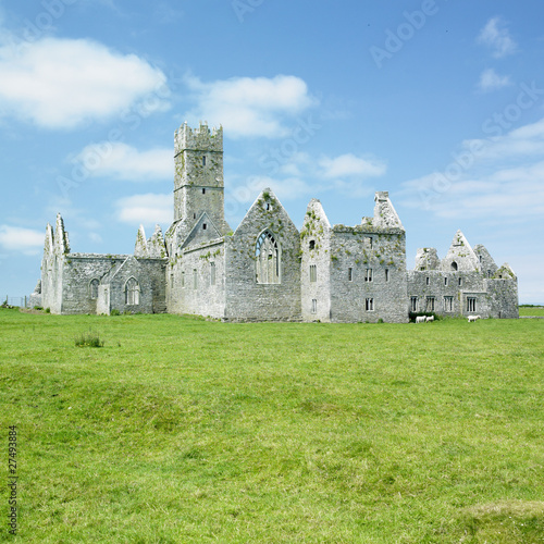Ross Errilly Priory, County Galway, Ireland photo