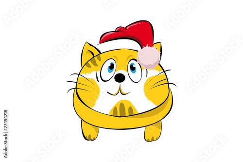Ridiculous cat in a New Year's cap