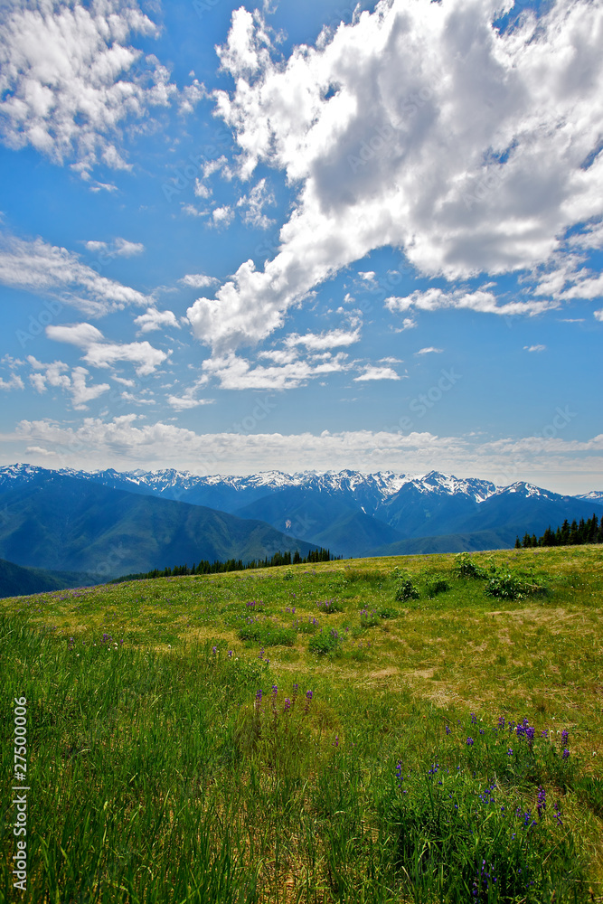Mountain view Mountain view