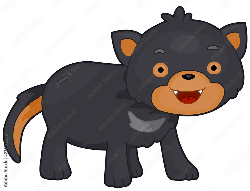 Fototapeta premium Tasmanian Devil