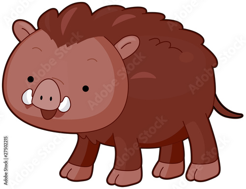 Wild Boar