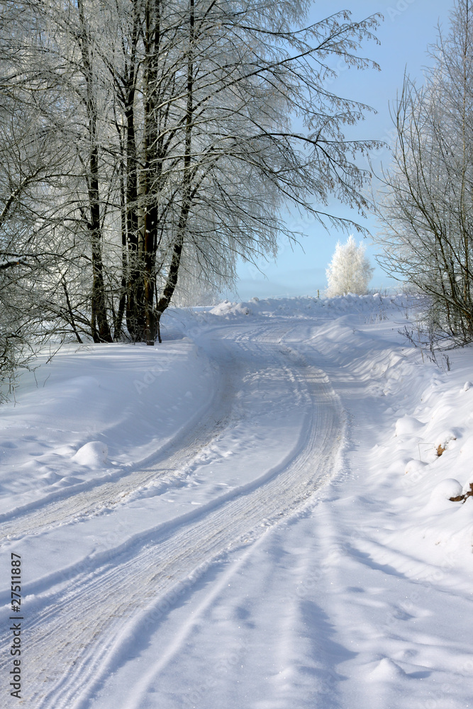 Obraz premium Winter way