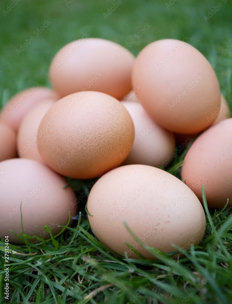 Organic freerange eggs outside in garden farm setting Organic freerange eggs outside in garden farm setting