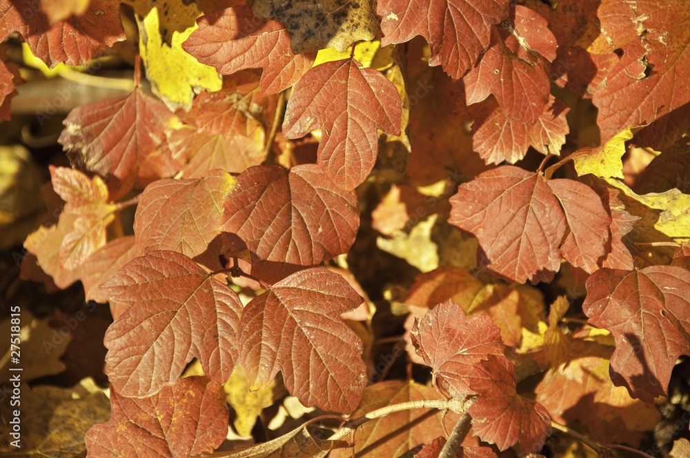 Otoño