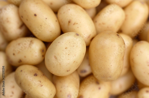 Vivaldi new potatoes