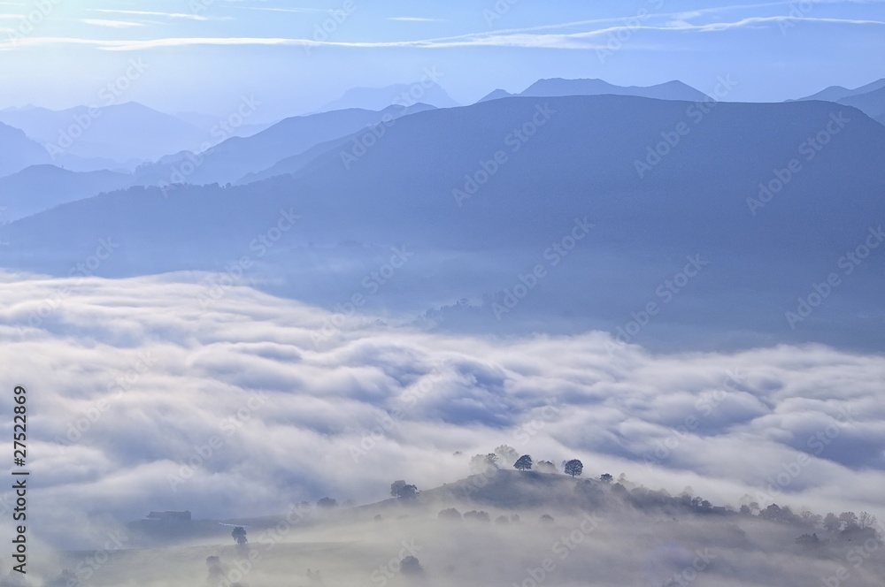 Arboles entre niebla desde el Cayón