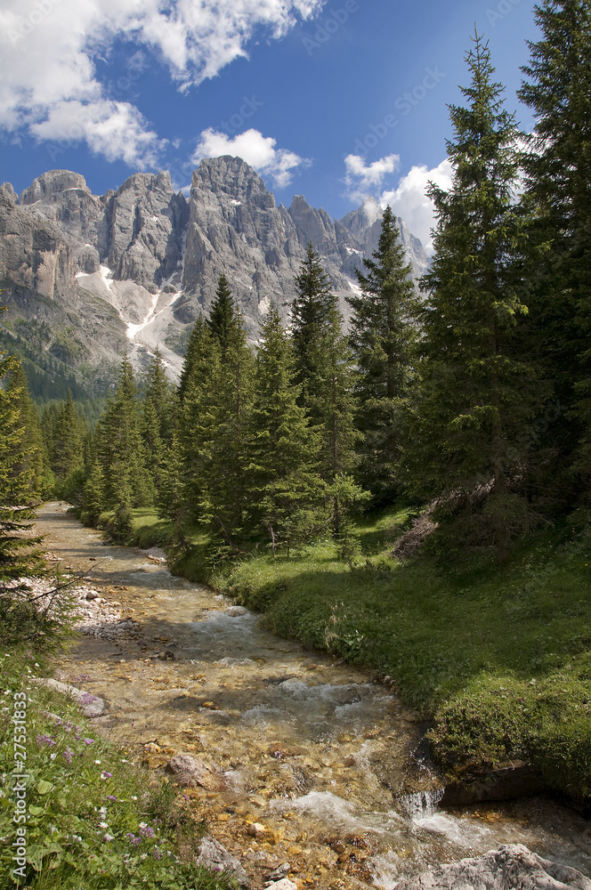 Dolomiti near San Martino di Castrozza,Trentino,Italy