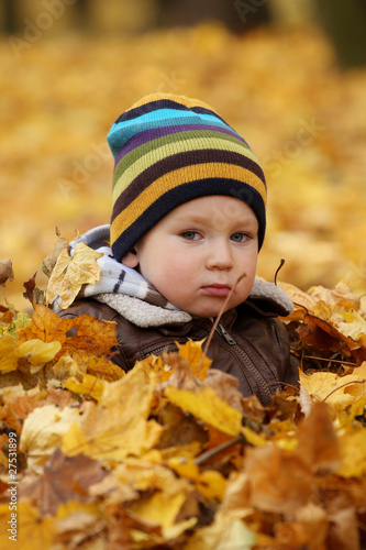 2 years old baby boy in autumn leaves