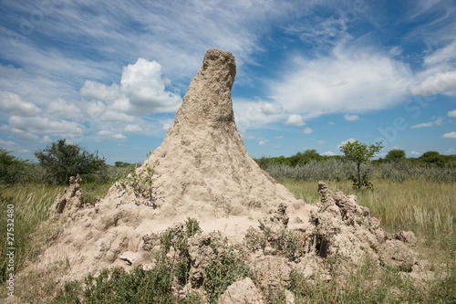 Obraz na plátně Huge Termite mound