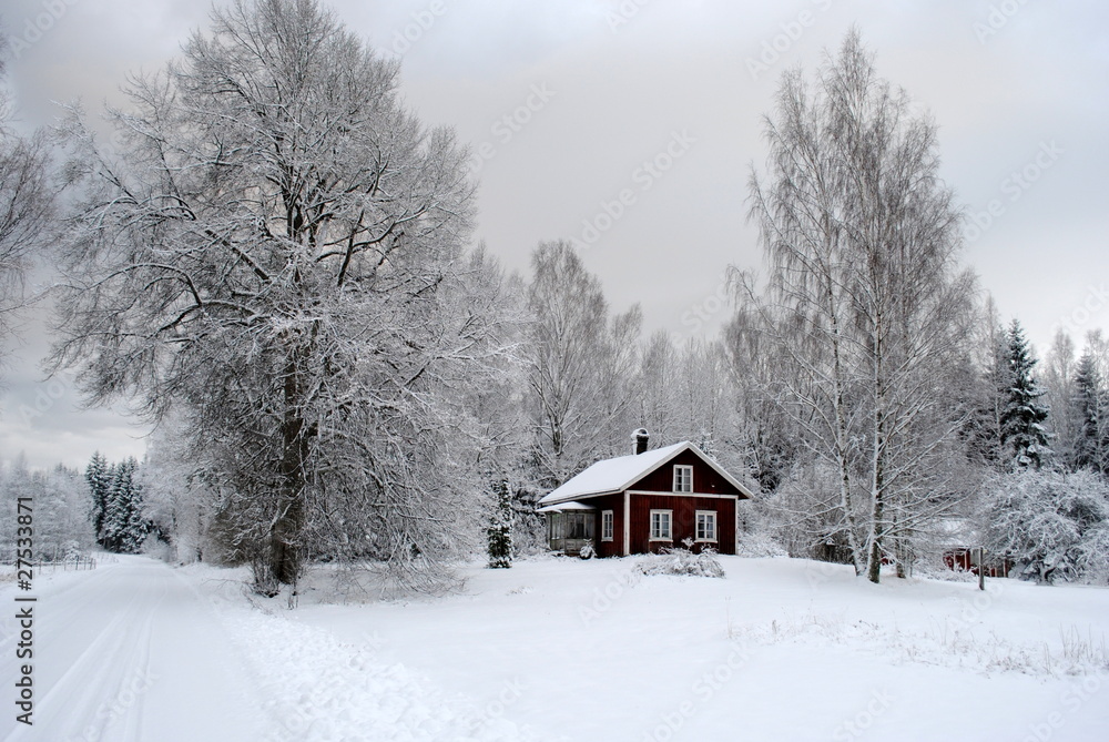Naklejka premium Winter in Schweden