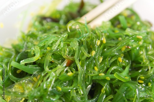 Fotografi Salade Wakame