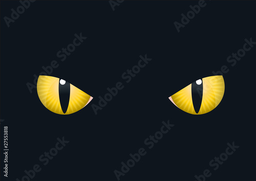 Oeil_Chat