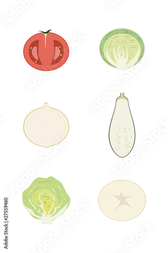 野菜 断面