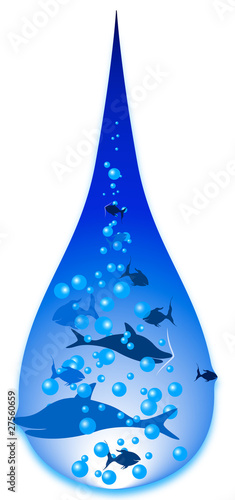 Fish in water drop
