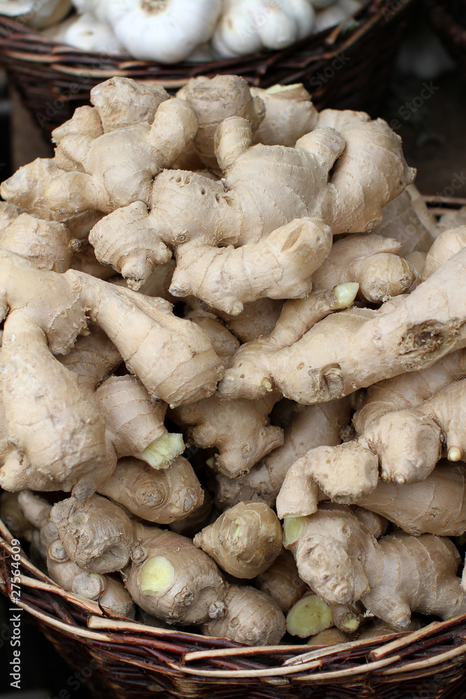 Ingwer Ernte Stock-Foto | Adobe Stock