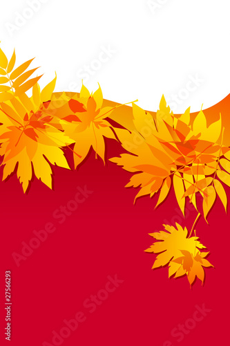 autumnal leaves on red background