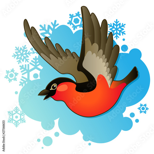 red bullfinch on winter background