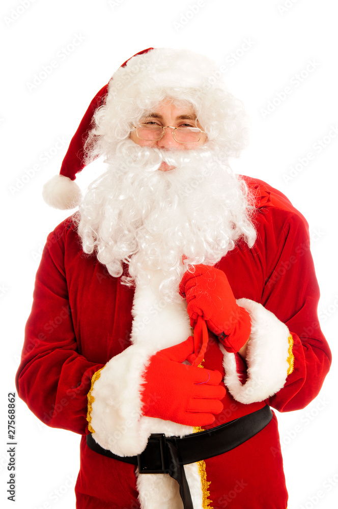 Naklejka premium Santa Claus