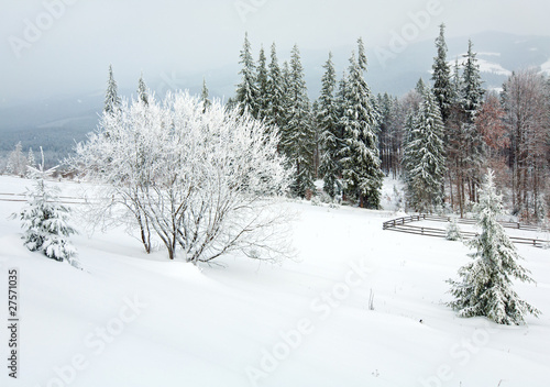 winter country mountain landscape © wildman
