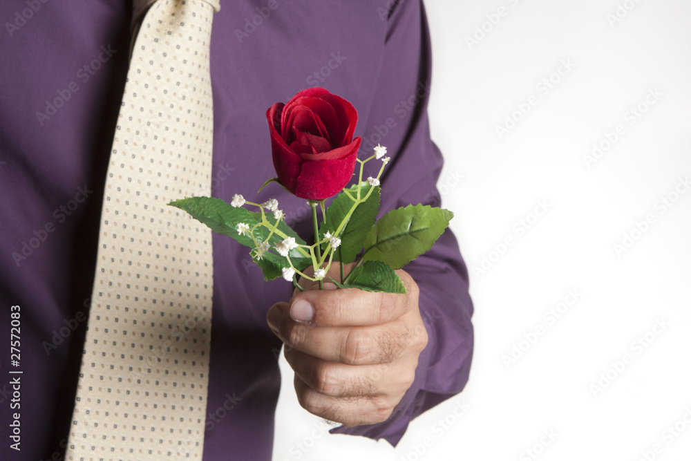 te regalo una rosa Stock Photo | Adobe Stock